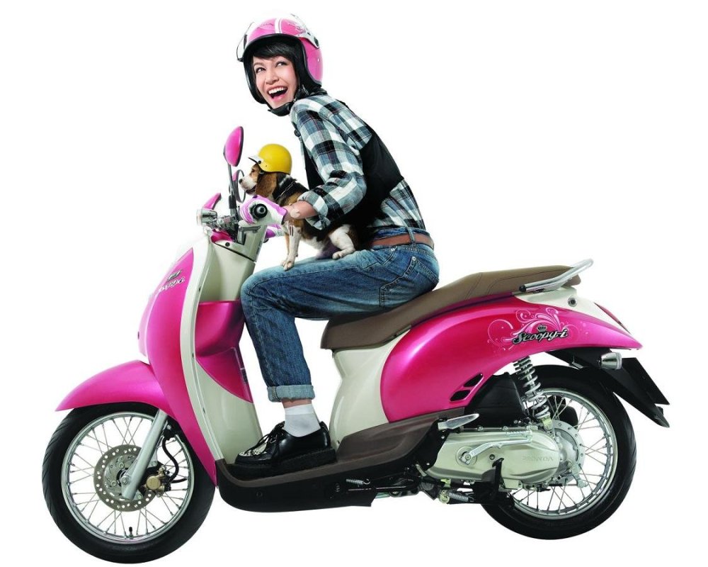 honda%20vario,honda%20supra,yamaha%20mio,honda%20scoopy,honda%20revo,honda%20tiger70